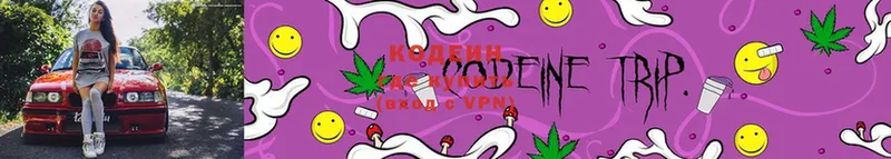 Codein Purple Drank  купить наркотики сайты  мега tor  Бабушкин 